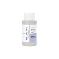 Shampooing déjaunisseur 300ml