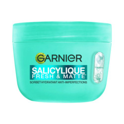 Lot de 2 Garnier Acide...